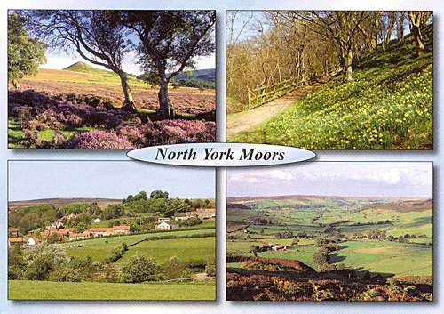 North York Moors postcards